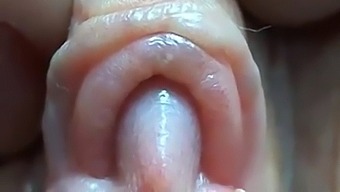 Intense Close-Up Of Clitoris And Pussy Lips