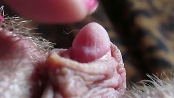 Intense Close-Up Of My Throbbing Big Clitoris During Hardcore Play